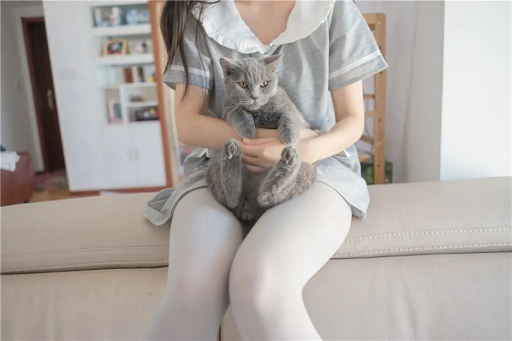 猫与少女-22